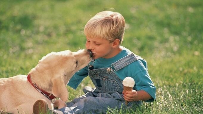 un neno recibe vermes dun can