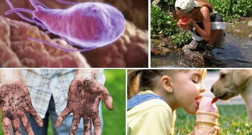 Fontes de infección